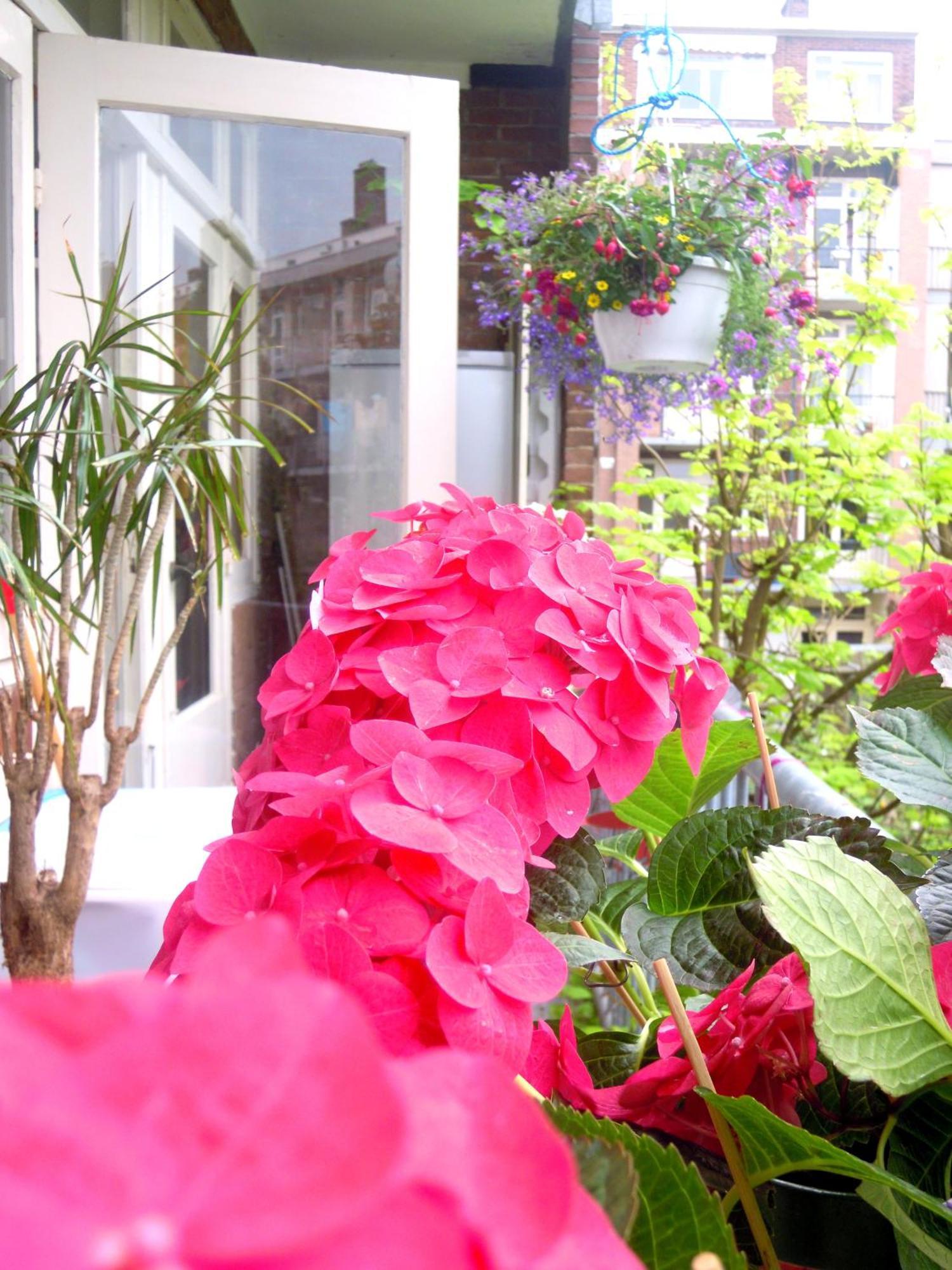 Missortelia B&B Amsterdam Exterior photo