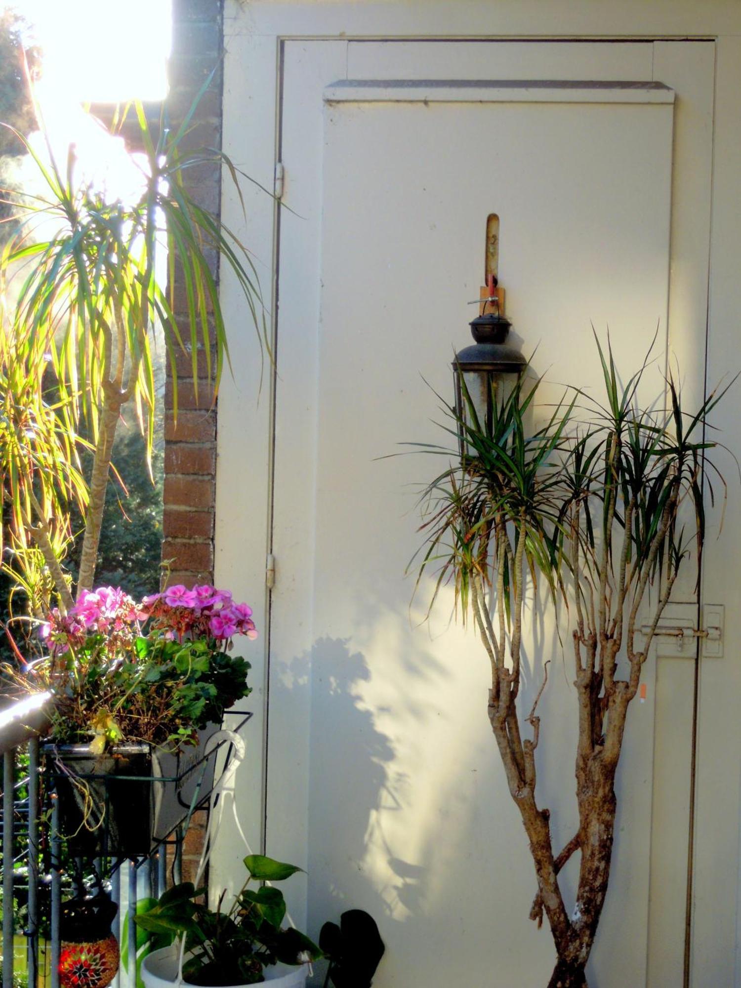 Missortelia B&B Amsterdam Exterior photo